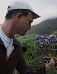Tom Hart Dyke with Limonium macropterum