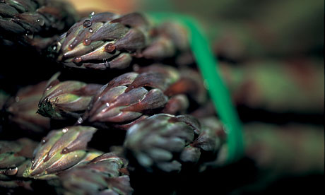 british asparagus