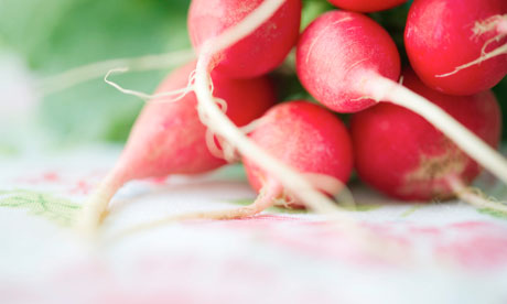 Bunch of radishes