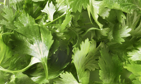 Parsley - filling the picture