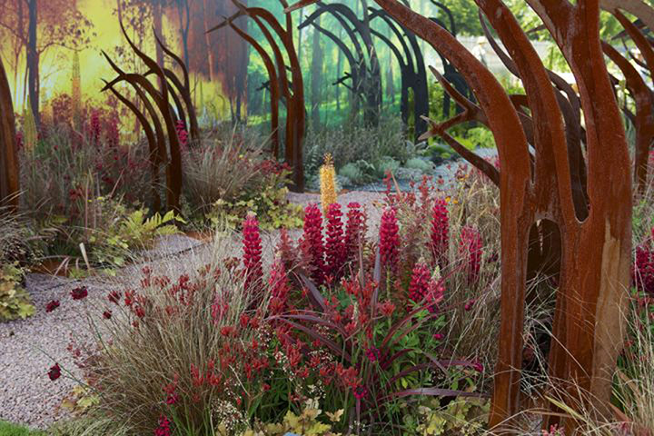 Hampton Court 2013: Desolation to Regeneration garden designed by Catherine MacDonald