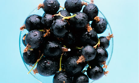 Good for you: blackcurrants