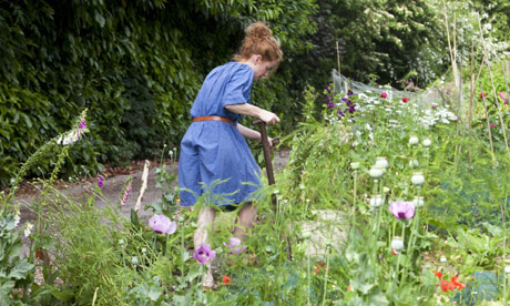 Alys on pollinators: Alys Fowler on pollinators