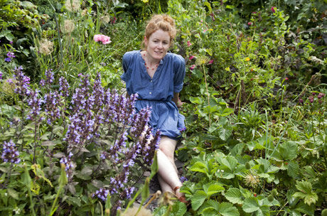 Alys on pollinators: Alys Fowler on pollinators