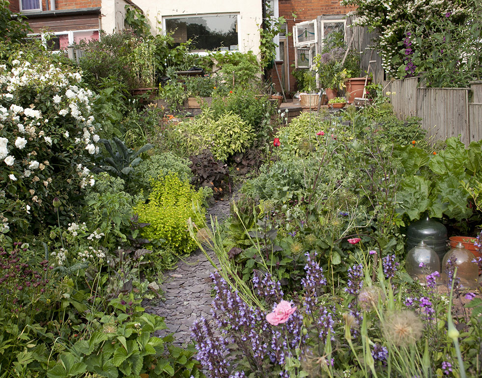 Alys Fowler on pollinators