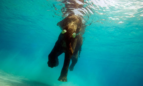 Resetting the pace … it's time to welcome the joys of slow swimming.