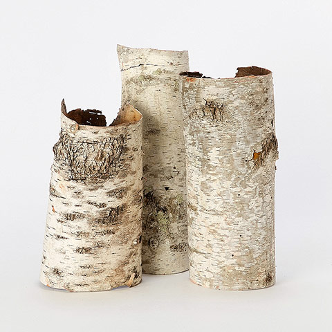 Simple things homewares: Birch bark cylinders