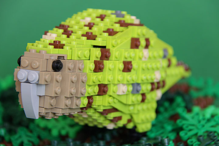 Lego birds of Oceania: Karo the Kakapo