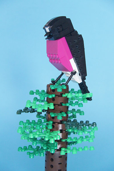 Lego birds of Oceania: Percy the Pink Robin