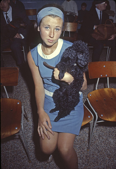 Vintage Blue Cross photos: 1967, woman and dog in Victoria hospital