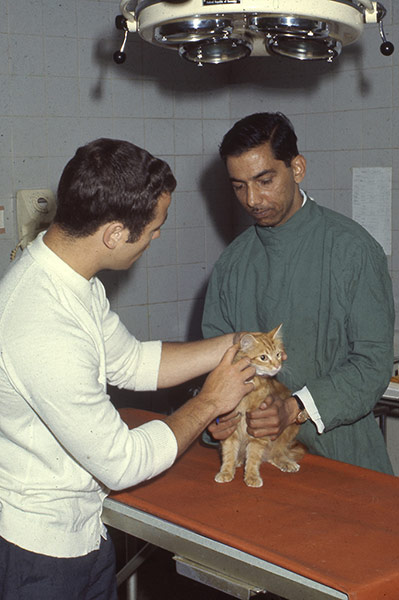 Vintage Blue Cross photos: Veterinary surgeon M Raza 