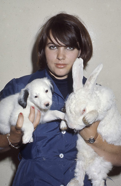 Vintage Blue Cross photos: Archive photo showing woman holding puppy and rabbit