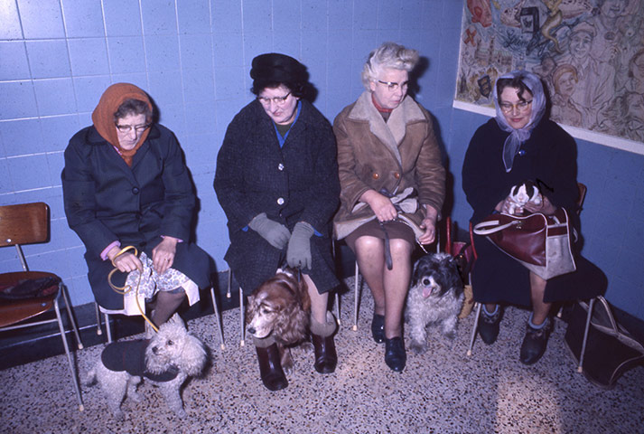Vintage Blue Cross photos: Waiting room at Grimsby hospital in 1966