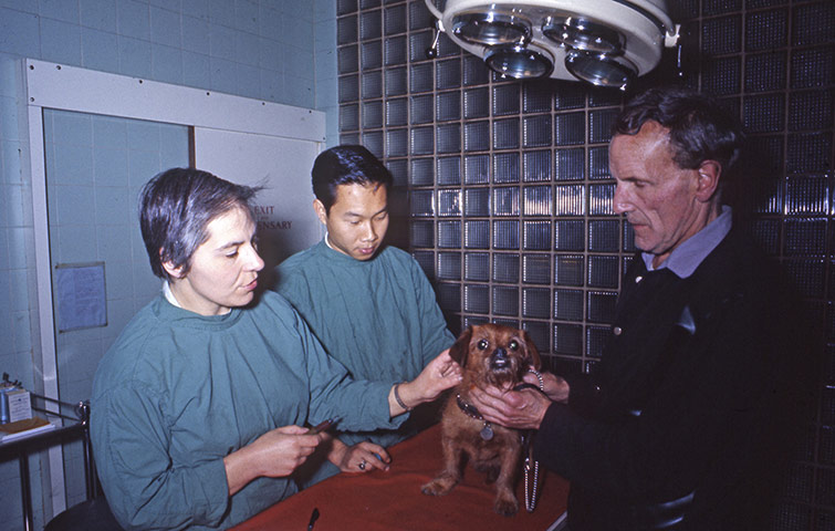 Vintage Blue Cross photos: Victoria hospital in 1967