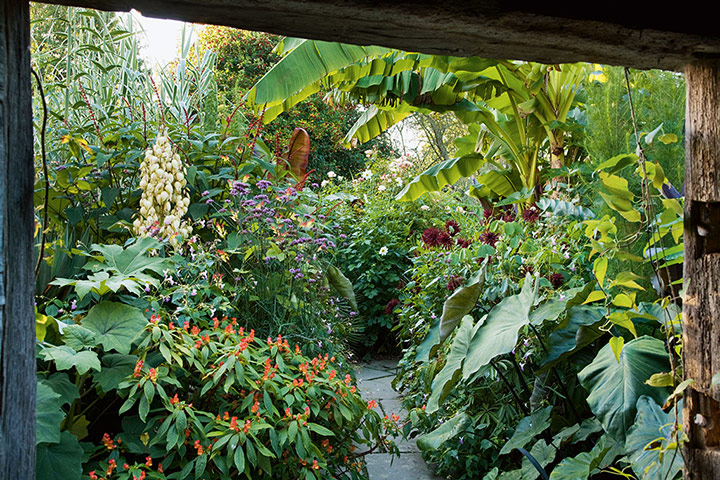 The New English Garden: Great Dixter, East Sussex