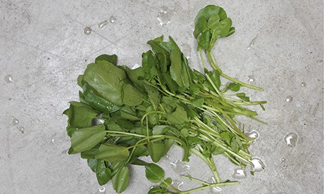 watercress