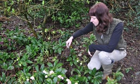 Thrifty gardener Kim Stoddart sources leaf mould from her own garden