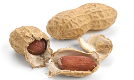 Peanuts in their shells