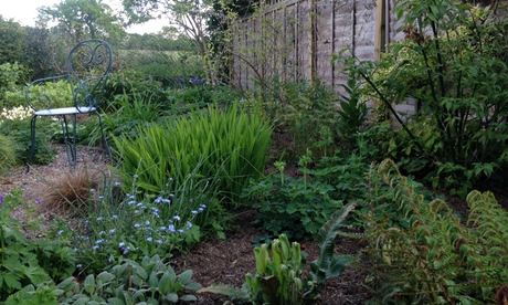 Kate Gould's garden