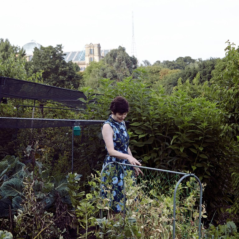 Alexandra Palace Allotment Portraits by Gary Morrisroe