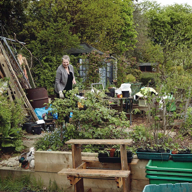 Alexandra Palace Allotment Portraits by Gary Morrisroe