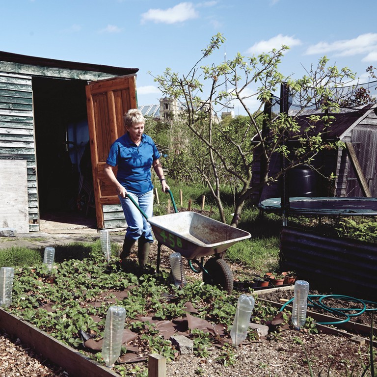 Alexandra Palace Allotment Portraits by Gary Morrisroe