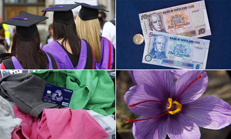 composite of students, money, saffron flower and washing