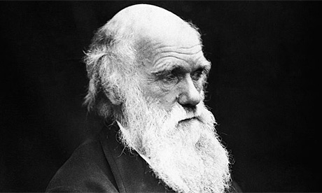 Charles Darwin Origin Of Species Book Summary