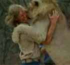 Viral Video: Christian the Lion