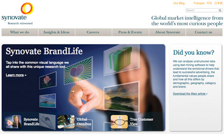 Synovate website