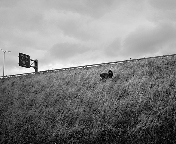 BJP: Vanessa Winship