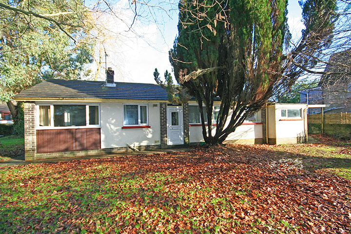 Snooping around  260211: Snooping around in Totnes, Devon