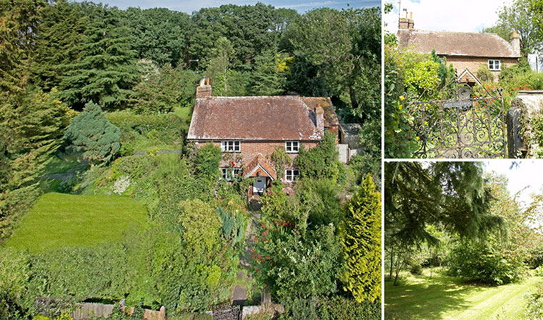 Trading places 141112: Trading up in Balls Cross, West Sussex