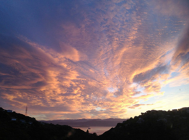 ExpatGallery : New Zealand, Wellington expat photo