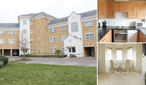 Trading places 130612: Bargain of the week in Sunbury, Middlesex