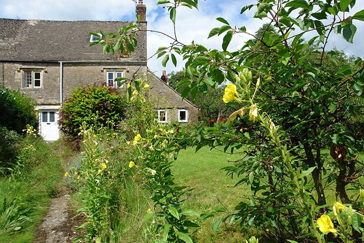 Snooping around 080912: Snooping around in Kington Langley, Wiltshire