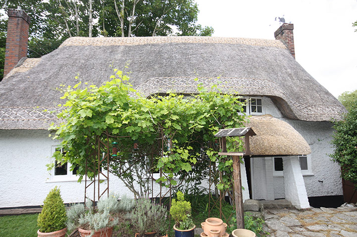 Snooping 211213: Snooping around in Charlton Marshall, Dorset