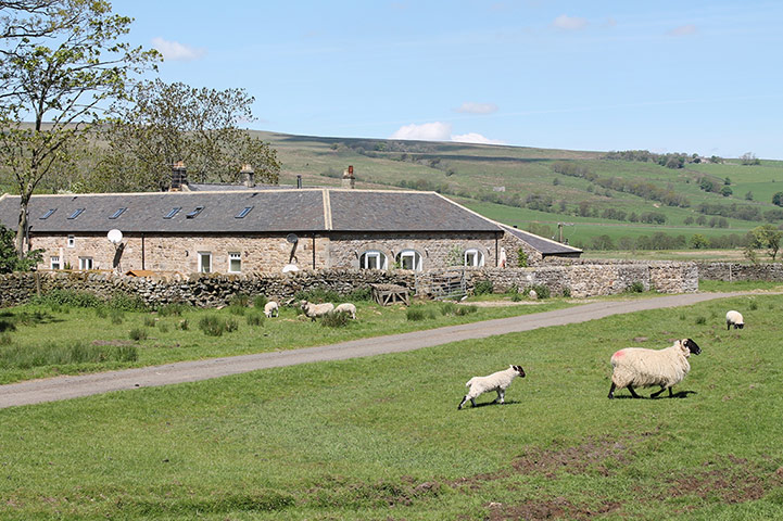 Snooping 090813: Snooping around in Hexham, Northumberland