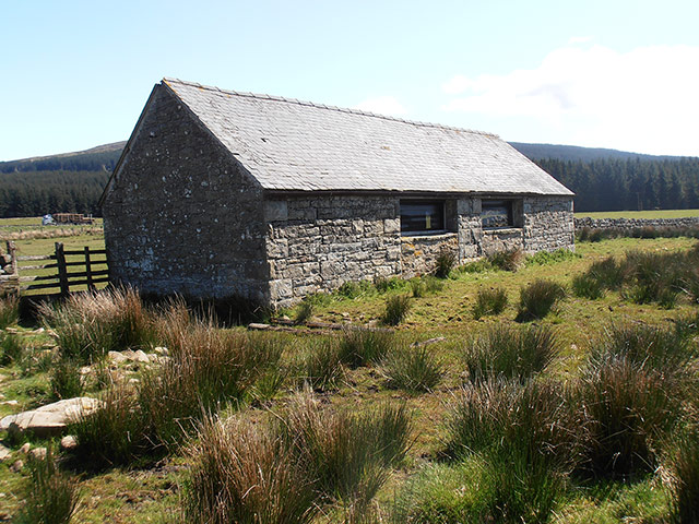 Snooping 270913: Snooping around in Kielder, Northumberland