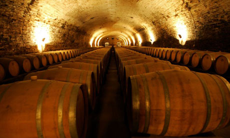 Wine cellar