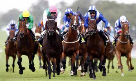 Horse racing