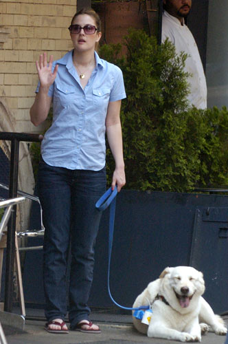 Drew Barrymore and her dog Flossie