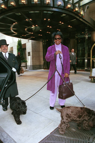 Oprah Winfrey with her dogs in New York city
