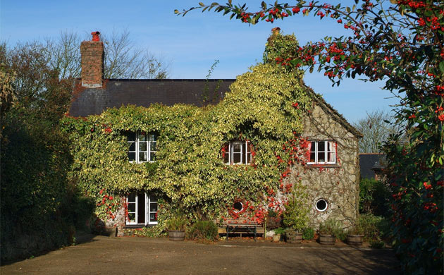 Jackson-Stops & Staff