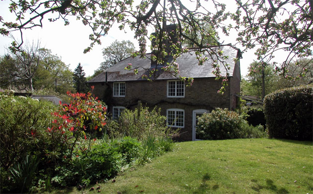 Jackson Stops & Staff