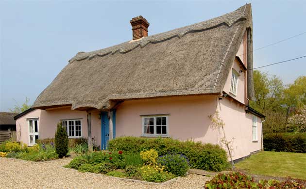 Jackson Stops & Staff