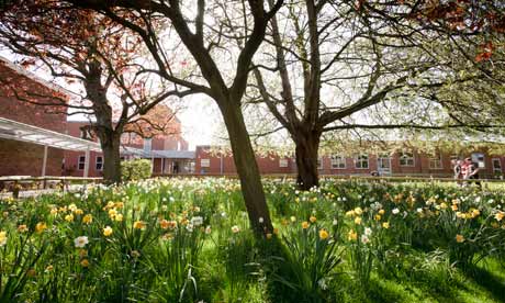 Well tended flowers and trees outside school building