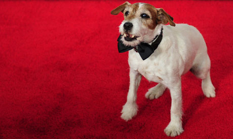 Star of The Artist Uggie the dog