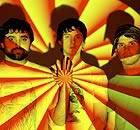 Animal Collective