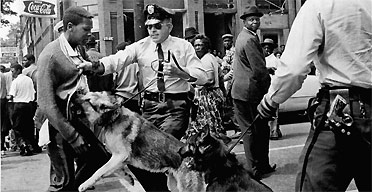 A 17-year-old civil rights demonstrator, defying an anti-parade ordinance of Birmingham, Alabama, USA, America is attacked by a police dog on May 3, 1963